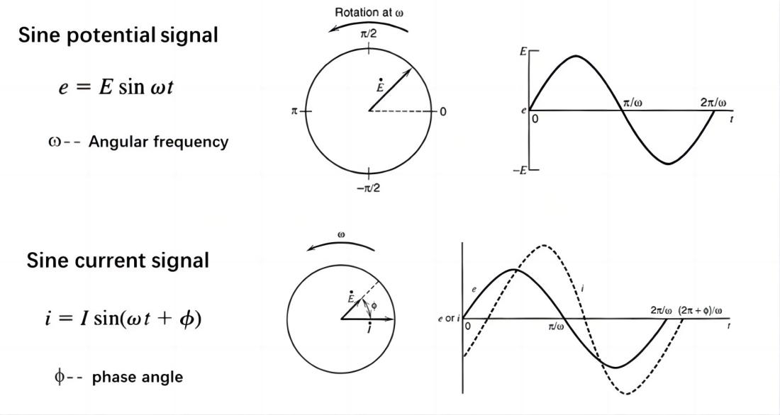 sine potential signal and sine current signal