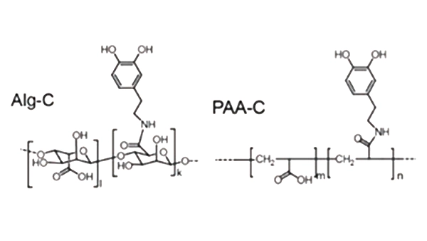 Figure 5 Binder functionalization modification