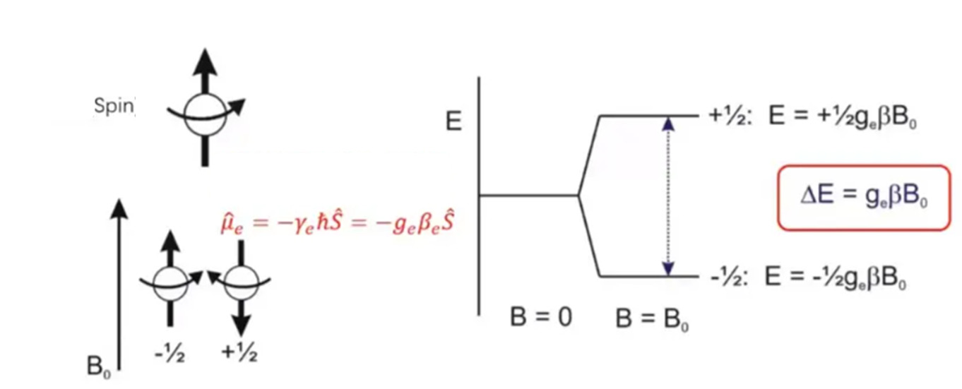 Zeeman-effect-of-electron-in-static-magnetic-field