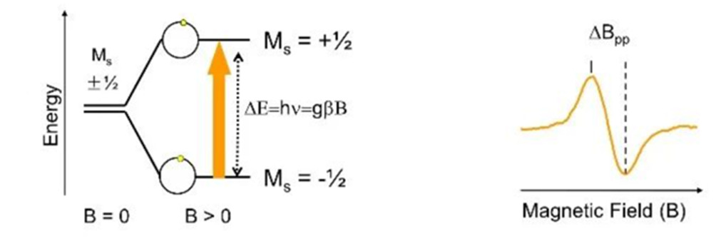 Resonance-absorption-diagram