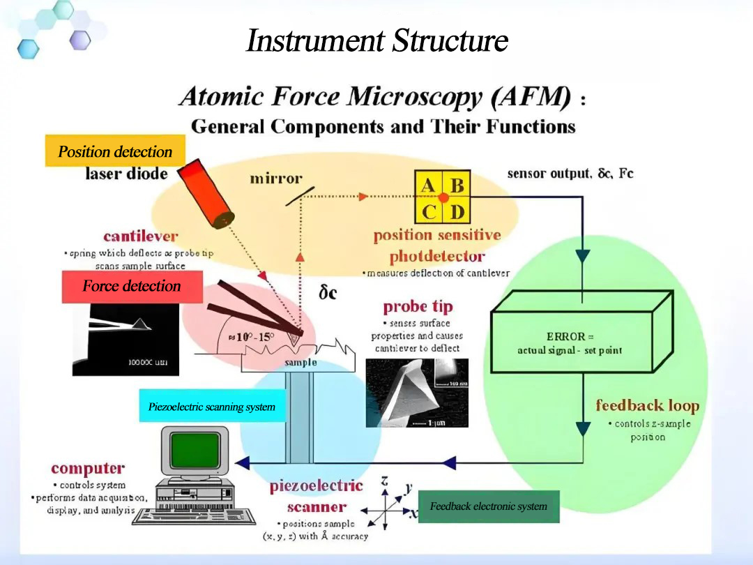 The instrument structure of AFM